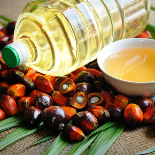 Palm Oil